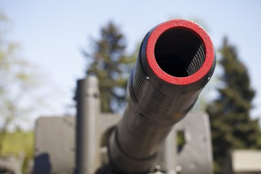 silah Kiev müze sergiler