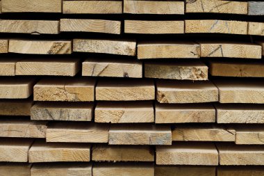 arka plan panoları popo