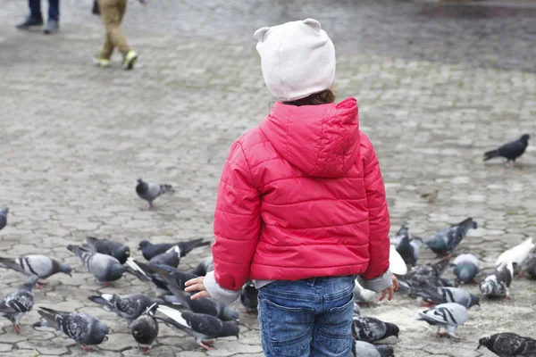  çocuk ve bir sürü Güvercin 