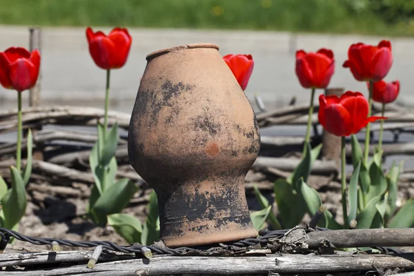 Stary dzbanek gliny i tulipany — Zdjęcie stockowe
