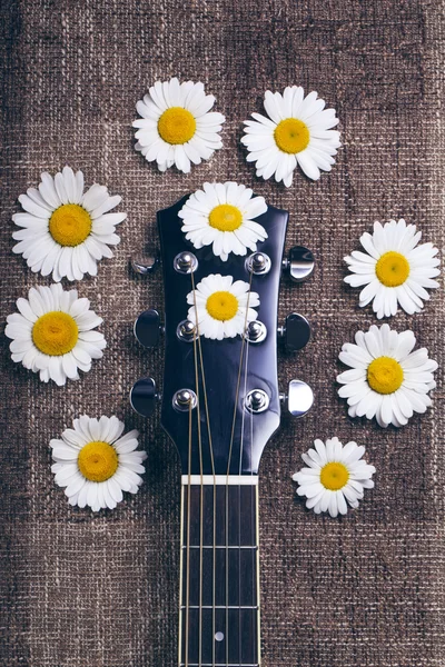 Guitarra e flores de margarida — Fotografia de Stock