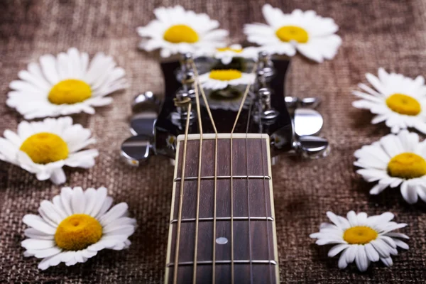 gitar ve papatya çiçekler