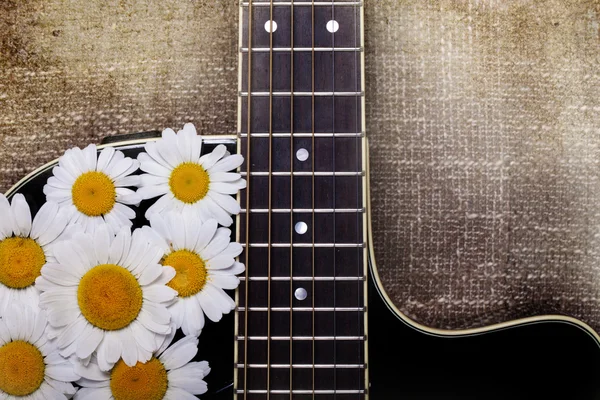 Guitarra e flores de margarida — Fotografia de Stock
