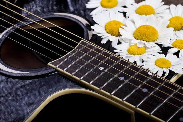 Guitarra e flores de margarida — Fotografia de Stock