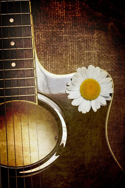 Guitarra e flores de margarida — Fotografia de Stock