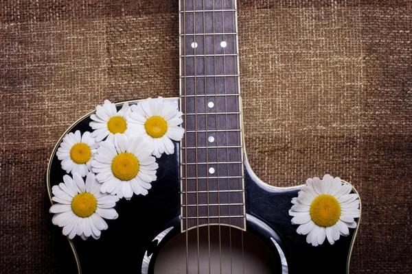 Guitarra e flores de margarida — Fotografia de Stock