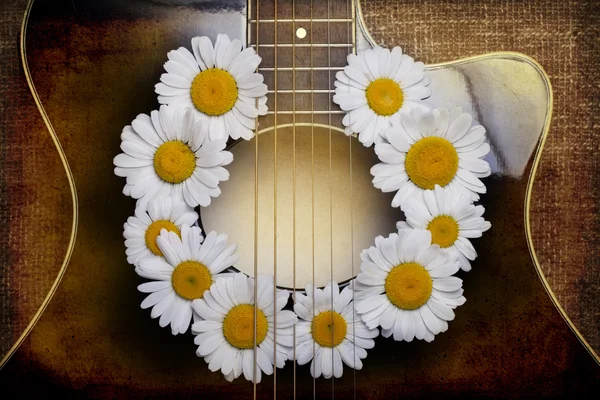 Guitarra e flores de margarida — Fotografia de Stock