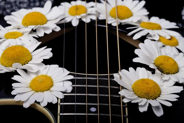 Guitarra e flores de margarida — Fotografia de Stock