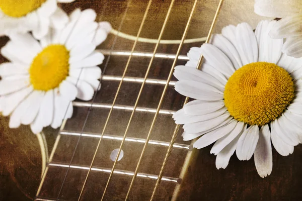 Flores de guitarra y margarita —  Fotos de Stock