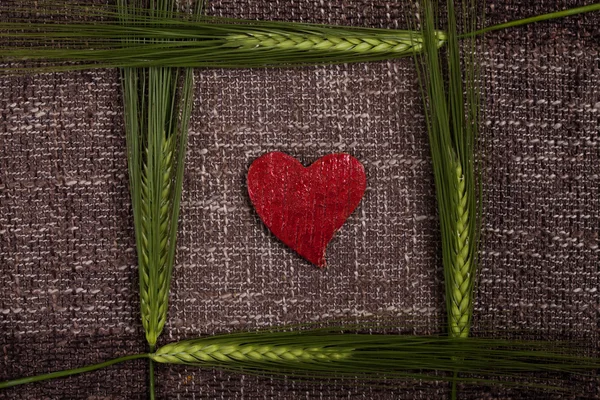 Abstract hearts and ears of corn — Stock Photo, Image