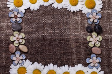 Çerçeve daisy arka plan duvar kağıdı tasarımı