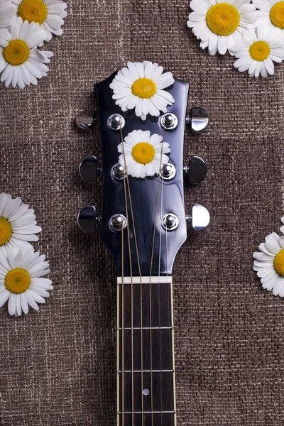 Flores de guitarra y margarita —  Fotos de Stock