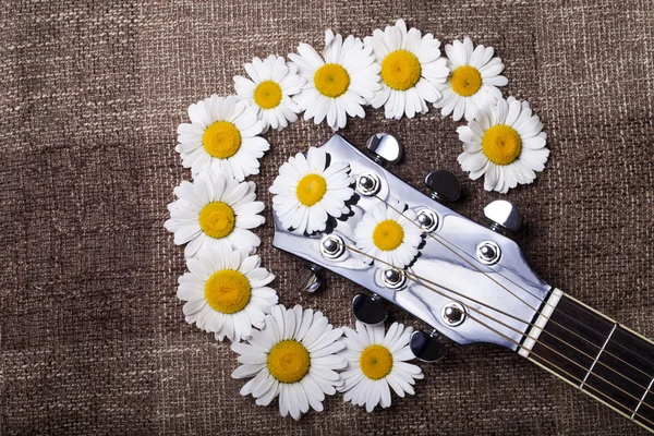 Guitarra e flores de margarida — Fotografia de Stock