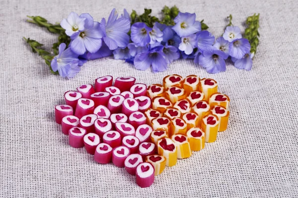 Lovely heart candy canes — Stock Photo, Image