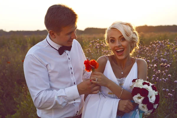 Menyasszony és a vőlegény a naplemente — Stock Fotó