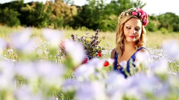 Mooi meisje verzamelt boeket van wilde bloemen — Stockvideo