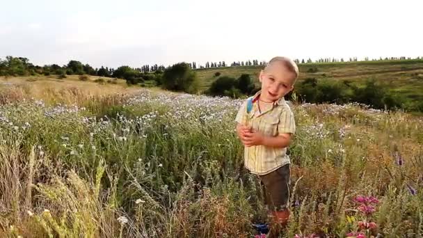 Uma criança encantadora com um pirulito na natureza — Vídeo de Stock