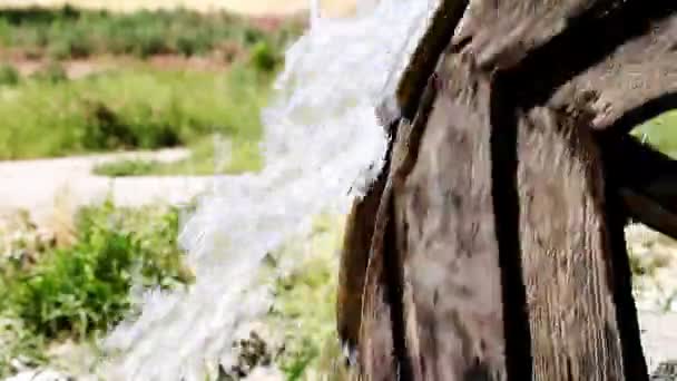 Vintage roue à eau gros plan — Video