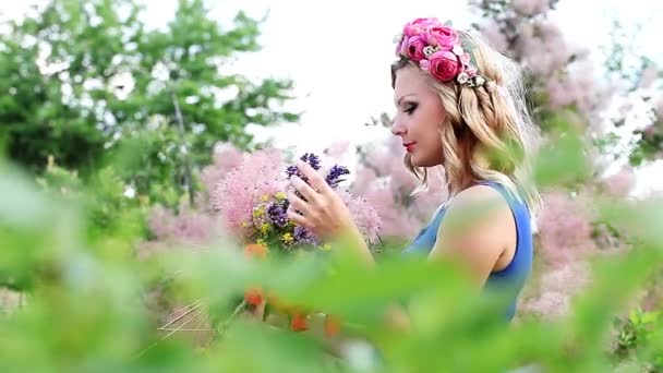 Beautiful young girl collects bouquet of wildflowers — Stock Video