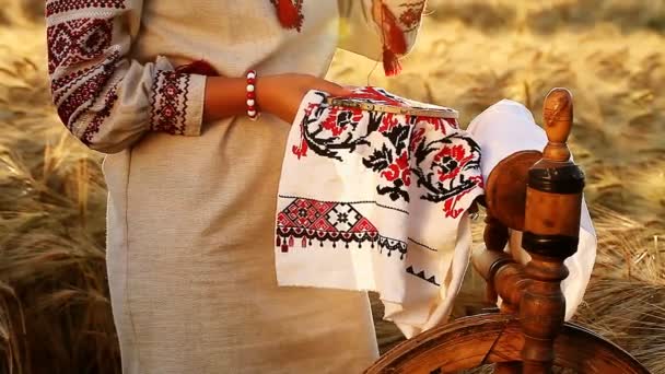 Nice video of ethnic traditions , she embroiders the ornament — Stock Video