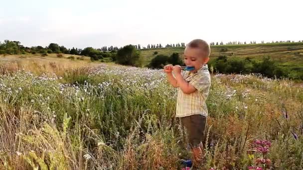 Uma criança encantadora com um pirulito na natureza — Vídeo de Stock