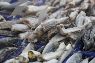 tatlı taze balık, deniz ürünleri arka plan gıda