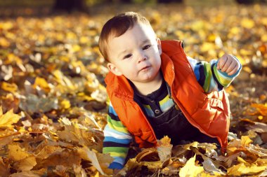 küçük çocuk açık havada sonbahar portre
