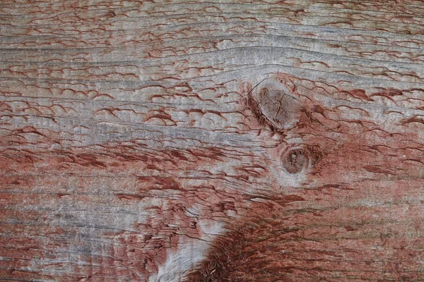 Текстура тертого дерева, красный цвет, краска , — стоковое фото