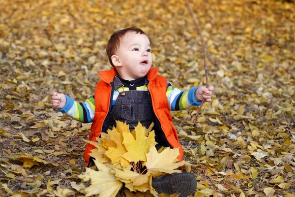 Kis fiú szabadban őszi portré — Stock Fotó