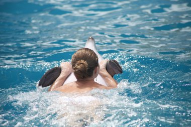 dolphinarium'nde bir konuşma sırasında sevimli yunuslar