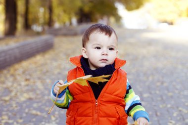 küçük çocuk açık havada sonbahar portre