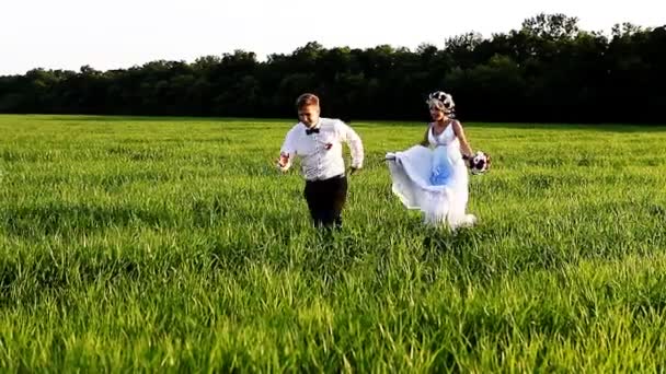 Beautiful couple in love newlyweds — Stock Video