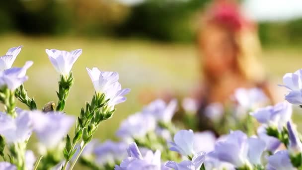 Hermosa chica joven recoge ramo de flores silvestres — Vídeo de stock