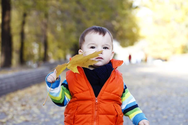 Küçük çocuk açık havada sonbahar portre — Stok fotoğraf