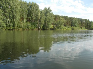 Nehir, nehir akıntısı, kıyıdaki orman.