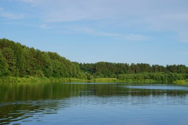 Yazın nehir manzarası