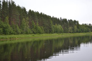 Bir yaz gününde nehir manzarası