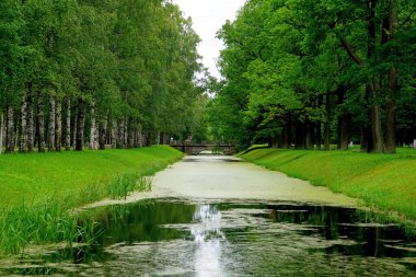 Bir yaz gününde parktaki nehir