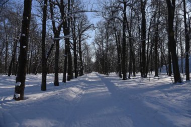 Soğuk bir günde kış manzarası