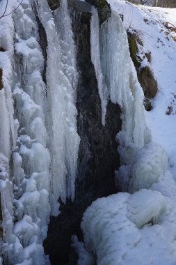 İlkbaharda parkta küçük bir şelale