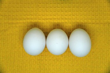 Sarı arka planda tavuk yumurtası