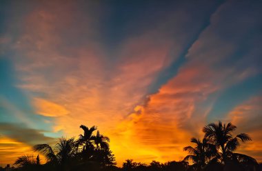 Bu geniş açılı manzara, dar ve durgun bir su yoluna yansıyan turuncu ve mavi renklerle dolu canlı bir alacakaranlık gökyüzüne karşı geniş yapraklı bir ağaç silueti yakalar..