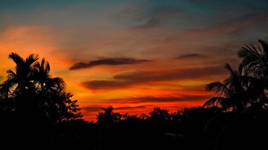 Bu yüksek kontrastlı manzara, parlak turuncu, kırmızı ve sarı katmanlı palmiye ağaçları ve tropikal orman siluetlerinin arkasındaki çarpıcı günbatımını yakalar..