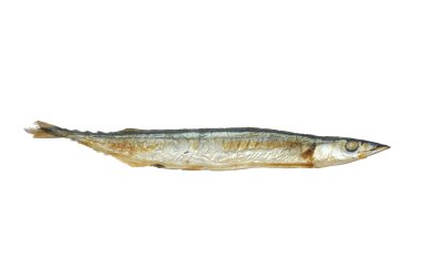 Beyaz arka plan üzerinde Saba balık ızgara