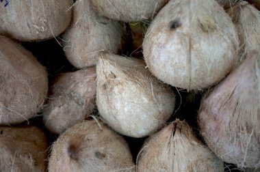 Kavrulmuş genç tatlı Hindistan cevizi