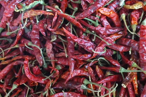 Chiles rojos secos — Foto de Stock