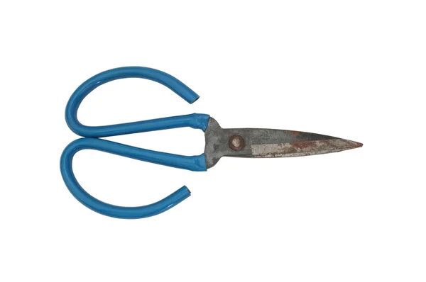 Um par de borracha azul lida com tesouras, cheias de ferrugem isolada no fundo branco — Fotografia de Stock