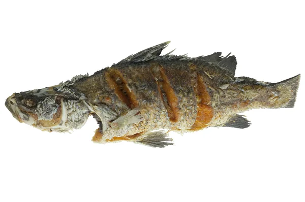 Jeden hluboký smažených ryb izolovaných na bílém pozadí — Stock fotografie