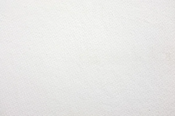 Textura de placa de fibra branca de bagaço, placa de cortiça branca — Fotografia de Stock