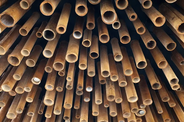 Cutting bamboo, cross section of bamboo — Stock Photo, Image